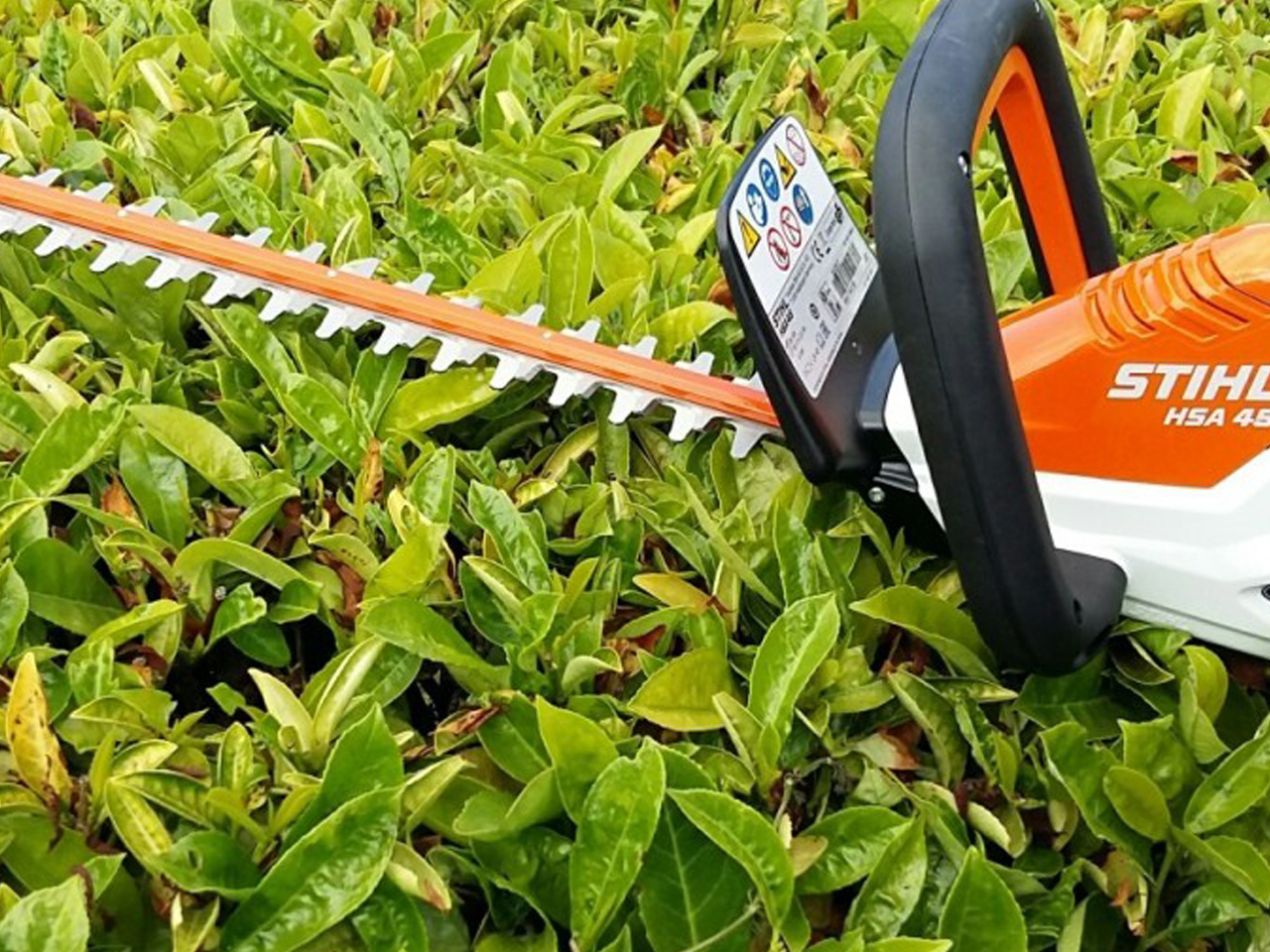 Hedge Cutting Service