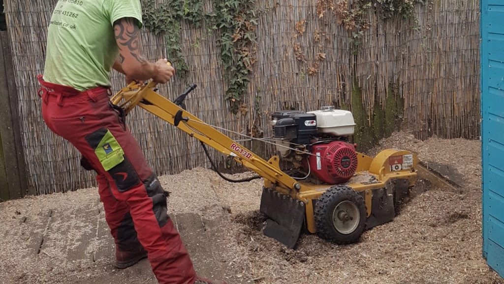 Stump grinding and removal
