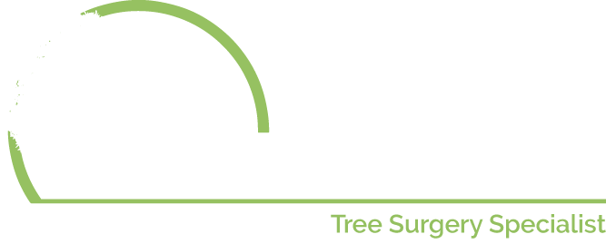 Hanwell Tree Care - Tree Surgery Specialists