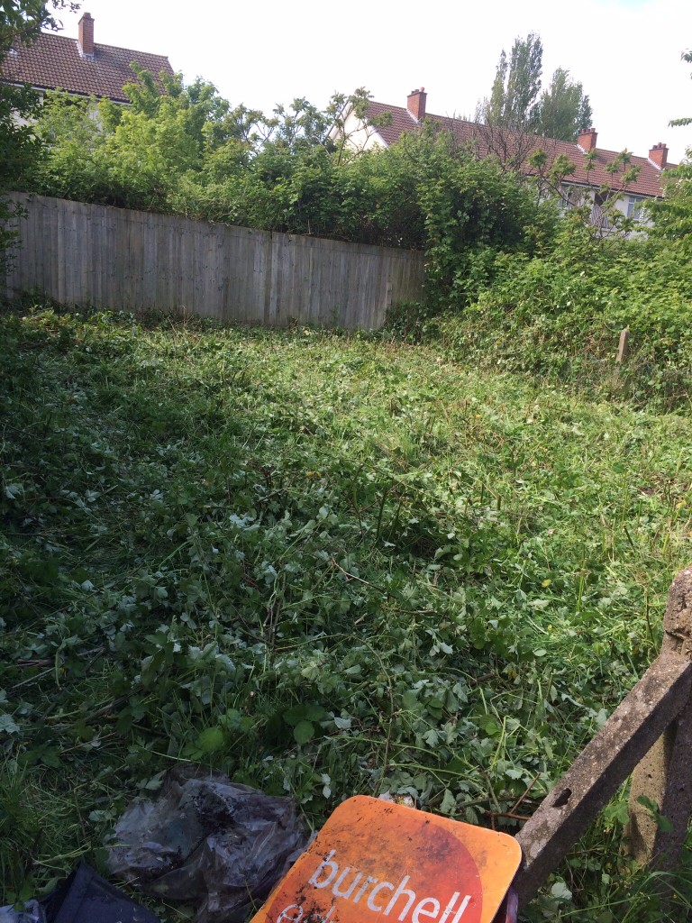 Garden Clearance Services