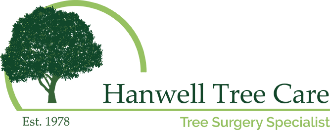 Hanwell Tree Care