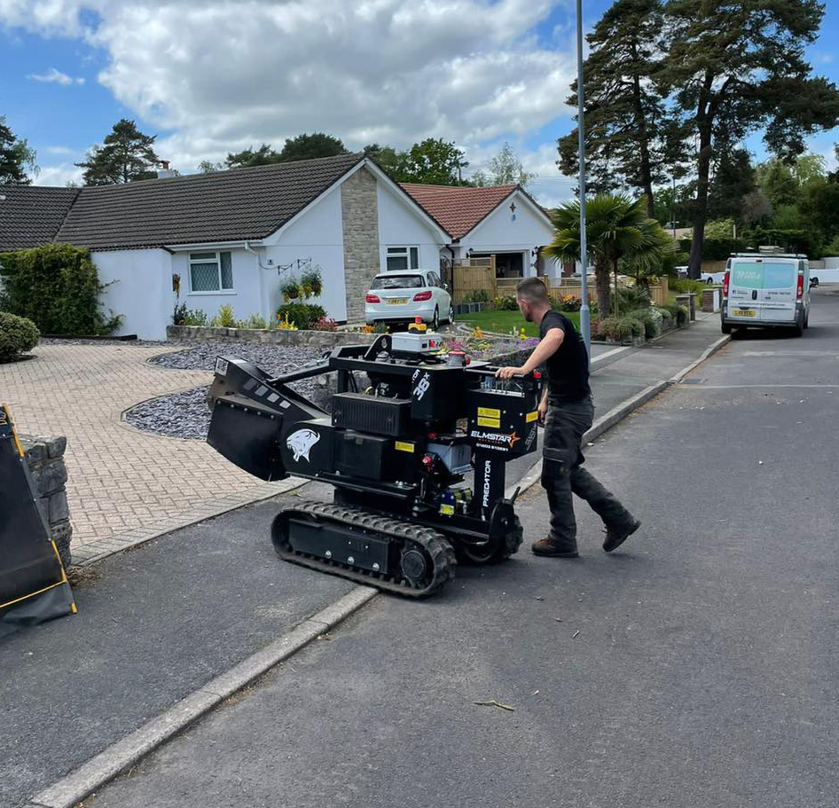 stump grinding company